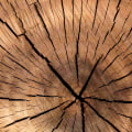The Benefits and Considerations of Using Cross Laminated Timber for Sound Insulation in Earthquake-Prone Areas